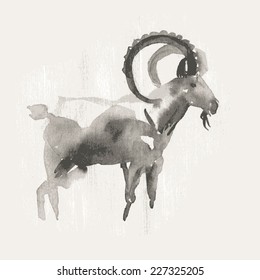 Vector illustration of mountain goat, symbol of 2015. Watercolor (hand draw).