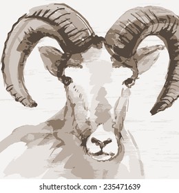 Vector illustration of mountain goat. Watercolor (hand draw). Year of the goat.