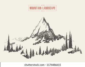 Vector illustration of a mountain peak with fir forest, engraving style, hand drawn, sketch