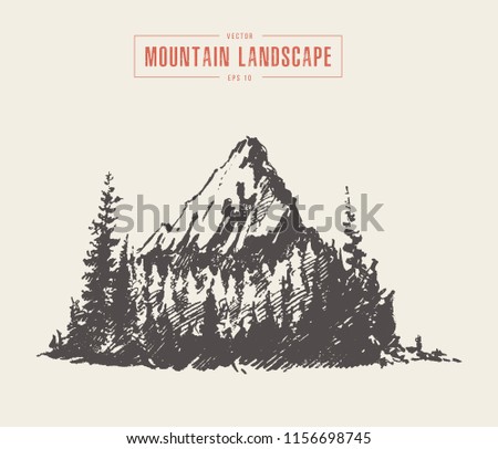 Vector illustration of a mountain peak with fir forest, engraving style, hand drawn, sketch