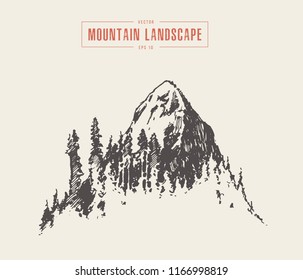Vector illustration of a mountain peak with a pine forest, engraving style, hand drawn, sketch