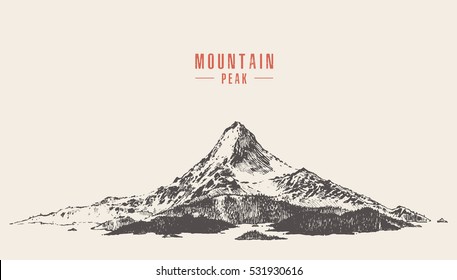 Vector illustration of a mountain peak with pine forest, engraving style, hand drawn