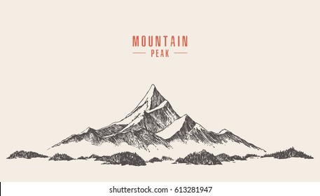 Vector Illustration Of A Mountain Peak With Pine Forest, Engraving Style, Hand Drawn