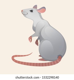 Vector illustration of the mouse. White rat.