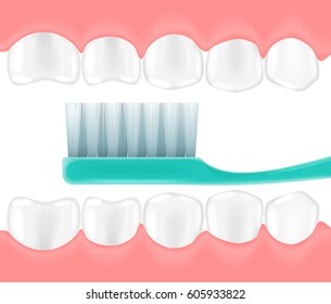 The vector illustration of a mouth with the toothbrush in it. Dentist teeth concept.