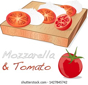Vector illustration of mozzarella, cherry tomatoes - ingredients for caprese salad on plate. Isolated image.