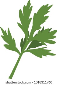 Vector Illustration Of Mugwort Or Wormwood