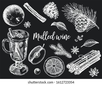 Vector illustration of mulled wine. Hand drawn wineglass with seasoning and fruits on black background.