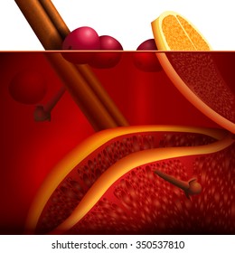 Vector illustration of mulled wine. Vector realistic background with citrus, berries and spices 