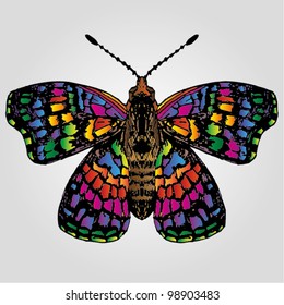 A vector illustration of multicolor butterfly.