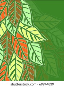 vector illustration of  multicolor leafs on a green background