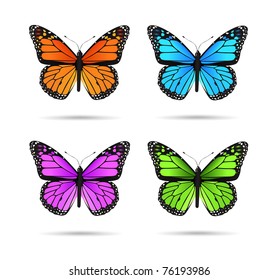 Vector illustration of multicolored butteflies