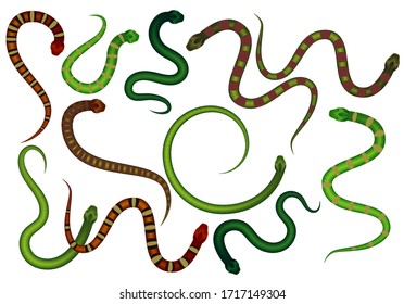 Vector illustration of multi-colored snakes of different types, colors and shapes many pieces in the collection, set