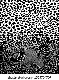 Vector illustration of Murena and Kareta background on white background