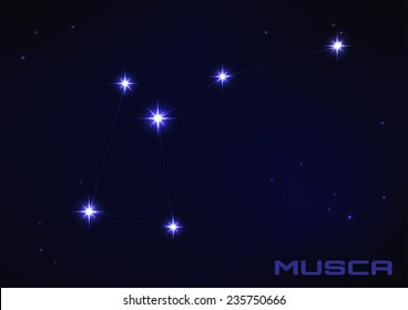 Vector illustration of Musca constellation in blue 