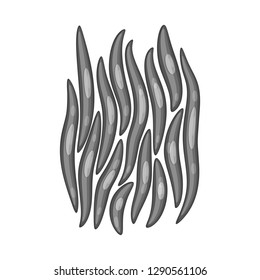 Vector illustration of muscle and cells icon. Set of muscle and anatomy stock vector illustration.