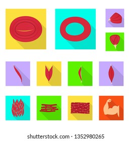 Vector illustration of muscle and cells icon. Set of muscle and anatomy vector icon for stock.
