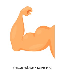 Vector illustration of muscle and cells logo. Set of muscle and anatomy stock symbol for web.