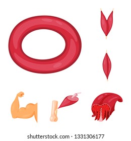 Vector illustration of muscle and cells logo. Collection of muscle and anatomy stock vector illustration.