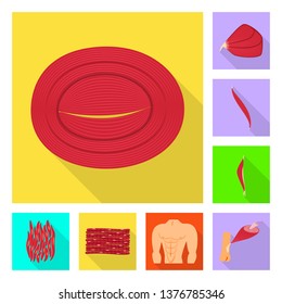 Vector illustration of muscle and cells logo. Set of muscle and anatomy vector icon for stock.
