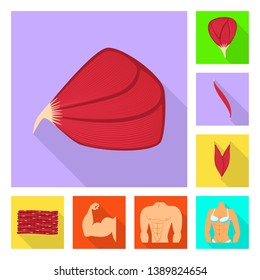 Vector illustration of muscle and cells logo. Set of muscle and anatomy stock vector illustration.