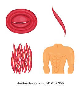 Vector illustration of muscle and cells logo. Collection of muscle and anatomy stock vector illustration.