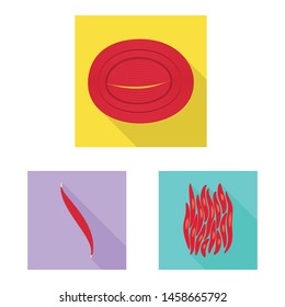 Vector illustration of muscle and cells logo. Set of muscle and anatomy stock vector illustration.