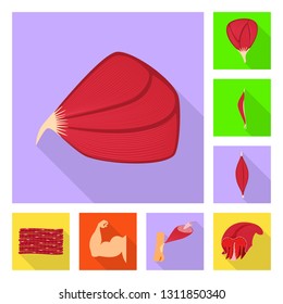 Vector illustration of muscle and cells sign. Set of muscle and anatomy stock symbol for web.