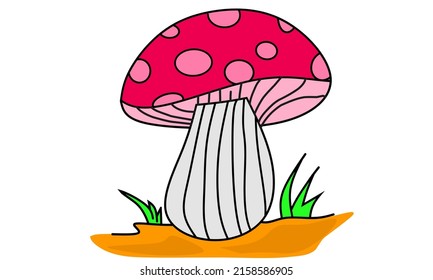 Vector illustration, mushroom, as background or banner image. flat design. flyer design. flat illustration. Banner design. Mushroom icon. 
