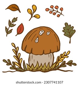 Ilustración vectorial con hongos, ramas, hojas y bayas. Conjunto de plantas forestales otoñales, mosca agaric y boletus, dibujo, Colección de jardín herbario.