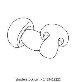 Vector illustration of mushroom and champignon logo. Set of mushroom and slice stock symbol for web.