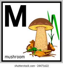 Vector illustration of mushroom and english letter "M". Does not contain any effects like gradients, blends and so on. File format EPS (AI8 compatible).