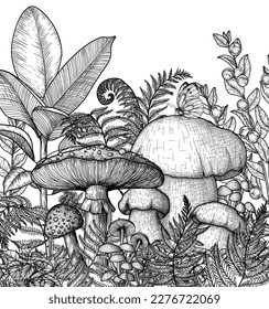 Vector illustration of a mushroom forest. Fly agaric, honey agaric, porcini mushroom surrounded by plants