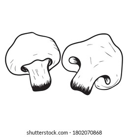 vector illustration of mushroom graphic design, icon, art tattoo sketch, logo, hand draw, use in print, batanical