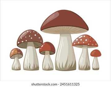 vector illustration of mushroom group isolated on white background	