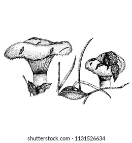 Vector illustration of mushroom hand-drawn dots pointeer