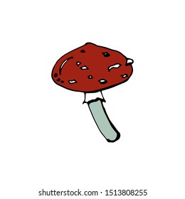 Vector illustration of a mushroom. Isolated on a white background. For design, botanical books, children's books, sticker. 
