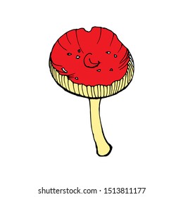 Vector illustration of a mushroom. Isolated on a white background. For design, botanical books, children's books, sticker. 