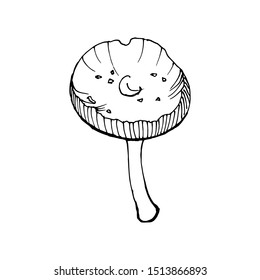Vector illustration of a mushroom. Isolated on a white background. For design, botanical books, children's books, sticker, coloring book