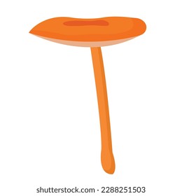 Vector illustration, mushroom isolated on white background. Fox mushroom. Vegetarian mushrooms. Nature's darner for a healthy diet.