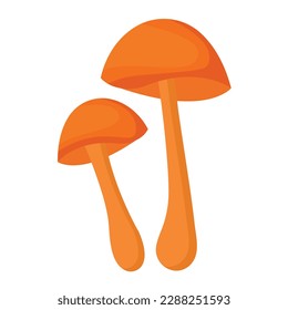 Vector illustration, mushroom isolated on white background. Fox mushroom. Vegetarian mushrooms. Nature's darner for a healthy diet.