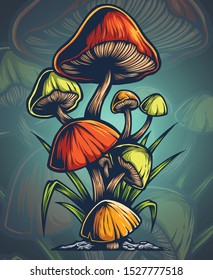 vector illustration of mushroom in nature wild