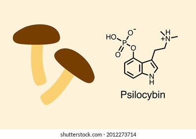 Ilustración vectorial de hongos y molécula psilocybin. La psilocibin es un compuesto que causa un efecto alucinógeno.