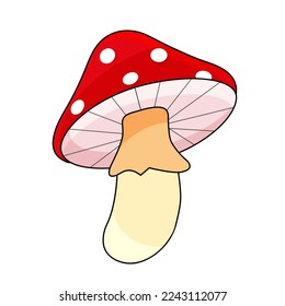 vector illustration of a mushroom with a red hat, fly agaric, hand drawing 