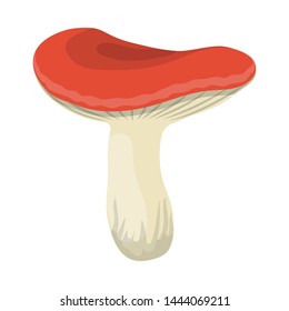 Vector illustration of mushroom and russula logo. Collection of mushroom and summer stock vector illustration.