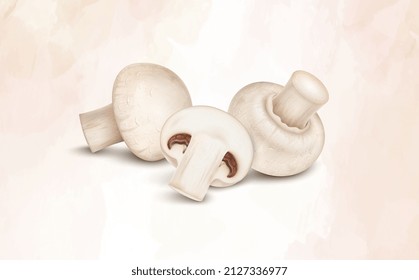 Vector illustration of mushroom vegetable