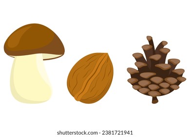 Vector illustration mushroom, walnuts pine cone