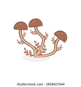 vector illustration of mushrooms in brown color