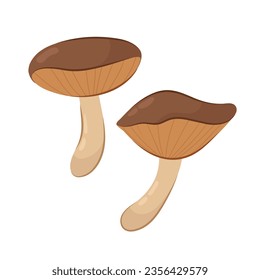 
Vector illustration of mushrooms in flat style on a white background.