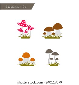 the vector illustration of mushrooms in a flat style